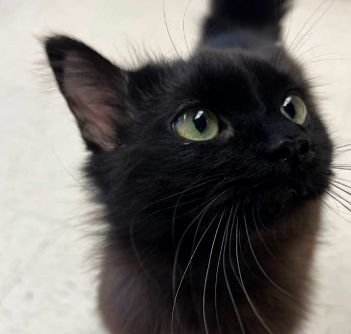 Photo of Lyla