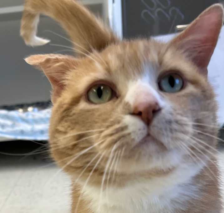 Photo of Butter