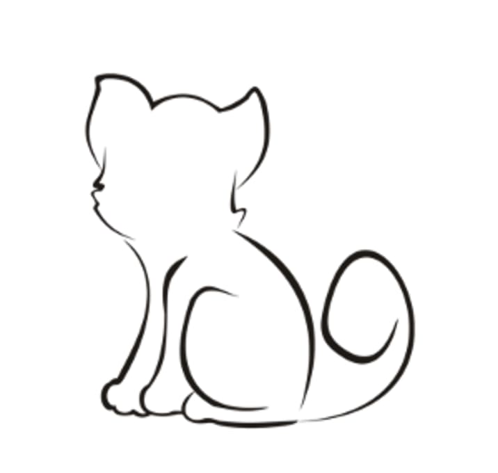 Photo of Black and White kitten 1 