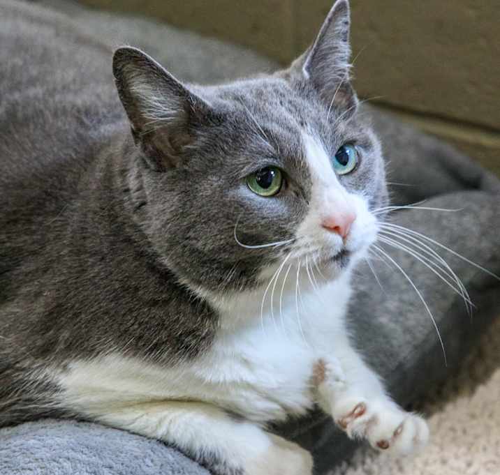 Photo of Fallon