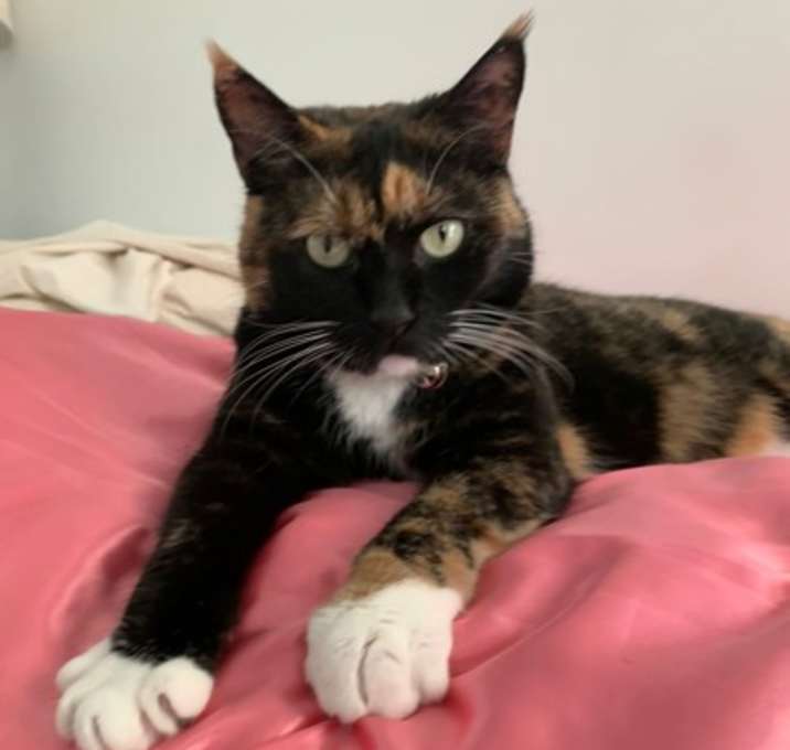 Photo of Fifi