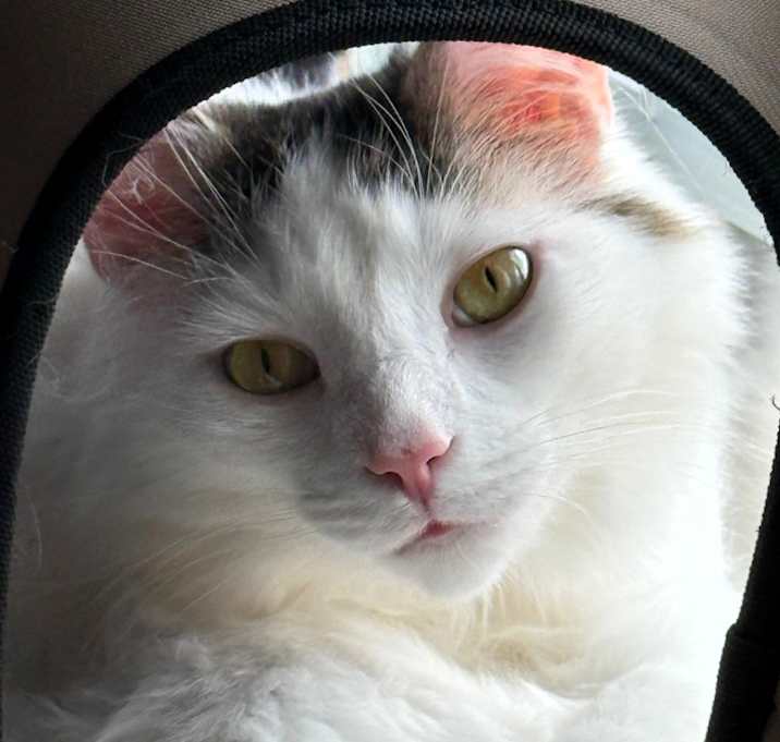 Photo of Derrick