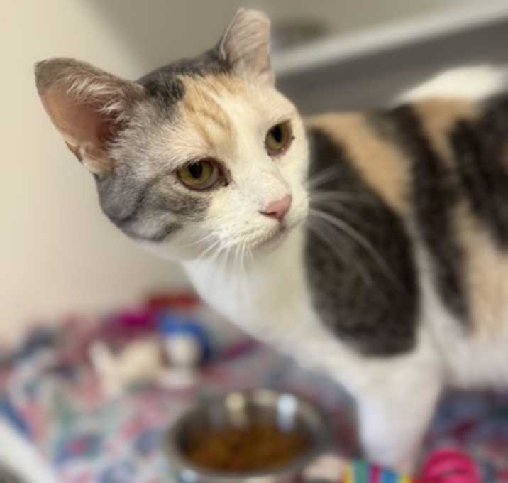 Photo of Emma