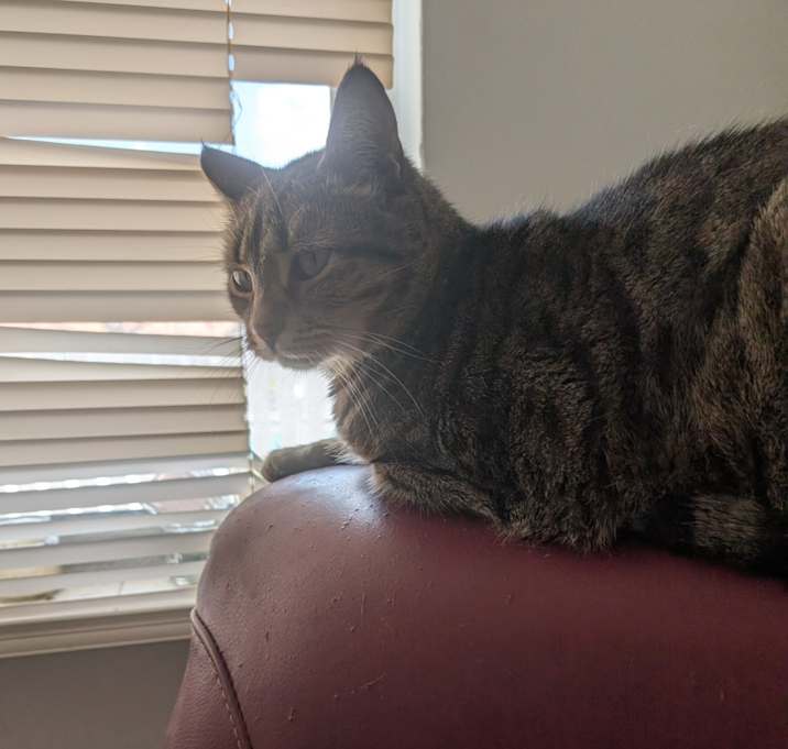 Photo of benny