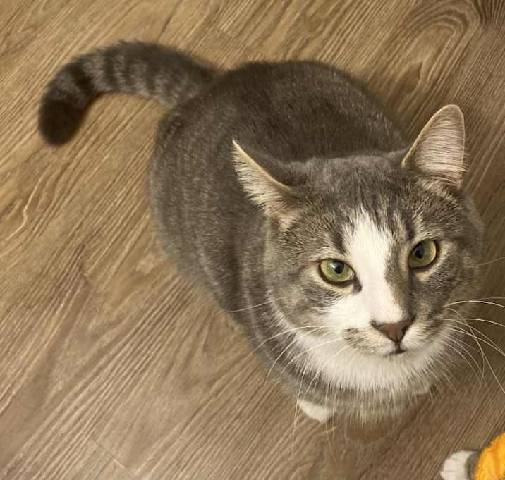 Photo of Rocket