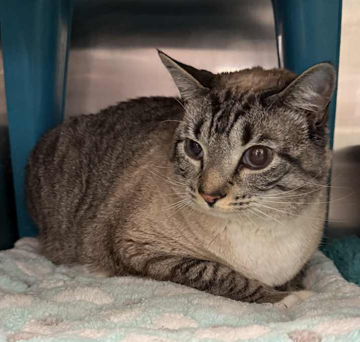 Photo of Truffle
