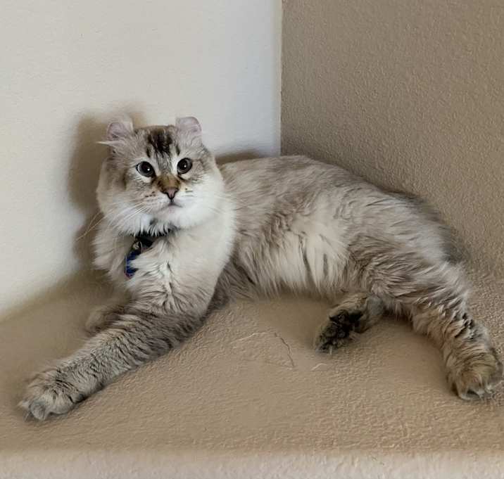 Photo of Jasmine