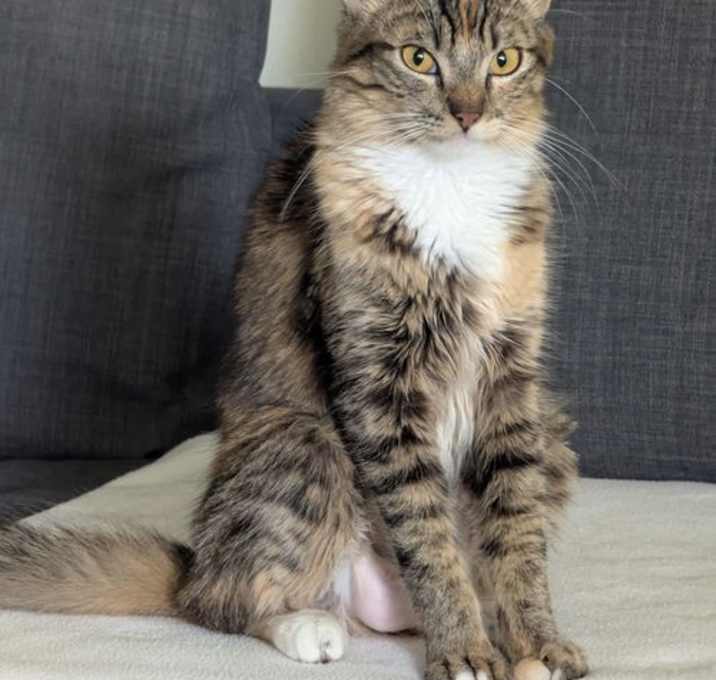 Photo of Daisy