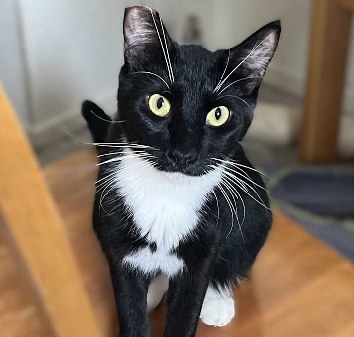 Photo of Maya