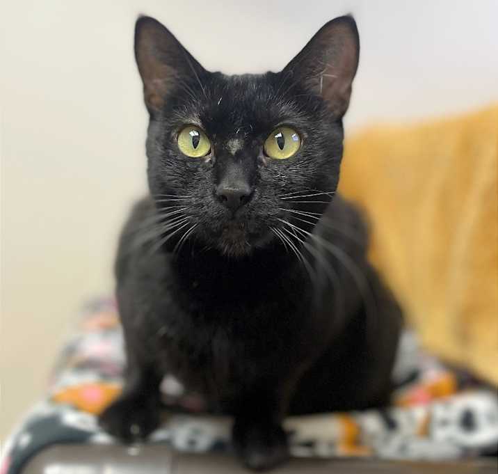 Photo of Purdy