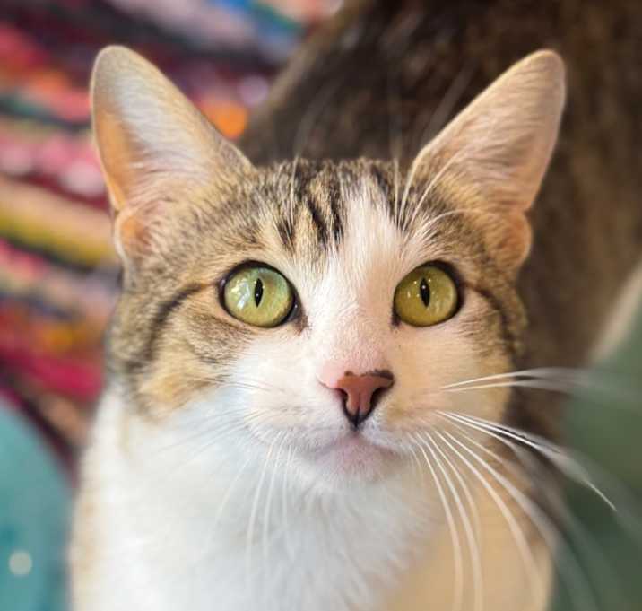 Photo of Lola 