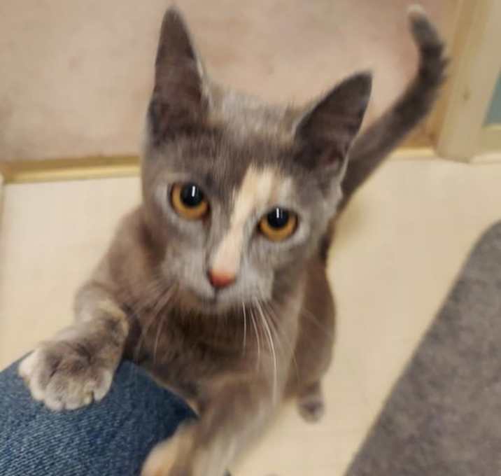 Photo of Bitty