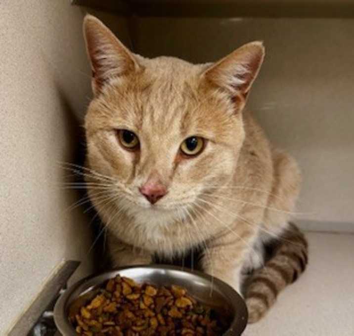 Photo of Spartacus