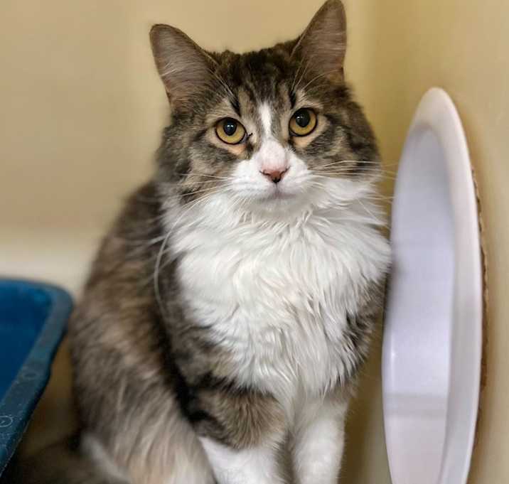 Photo of Matilda