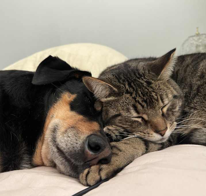 Photo of Kitty