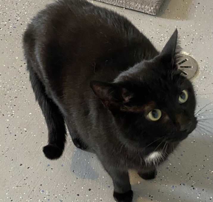 Photo of Jack