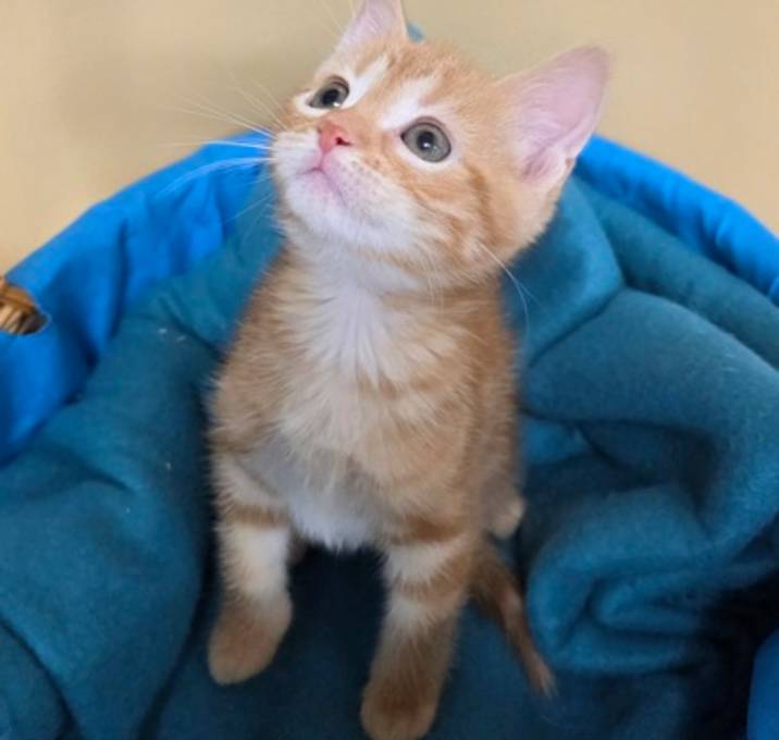 Photo of Sugar