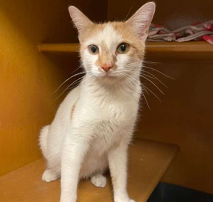 Photo of Maisey