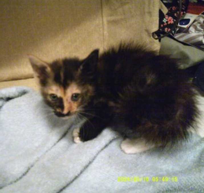 Photo of Isabel