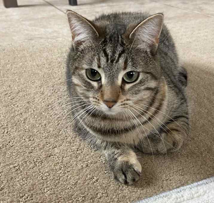 Photo of Milly