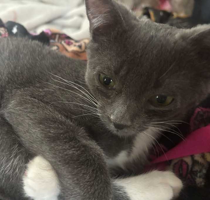 Photo of Ivy