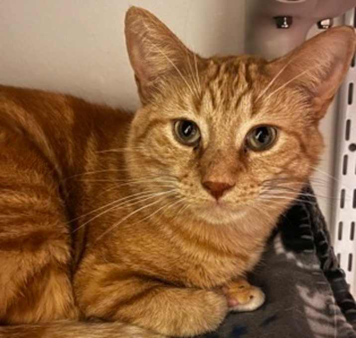 Photo of Diego