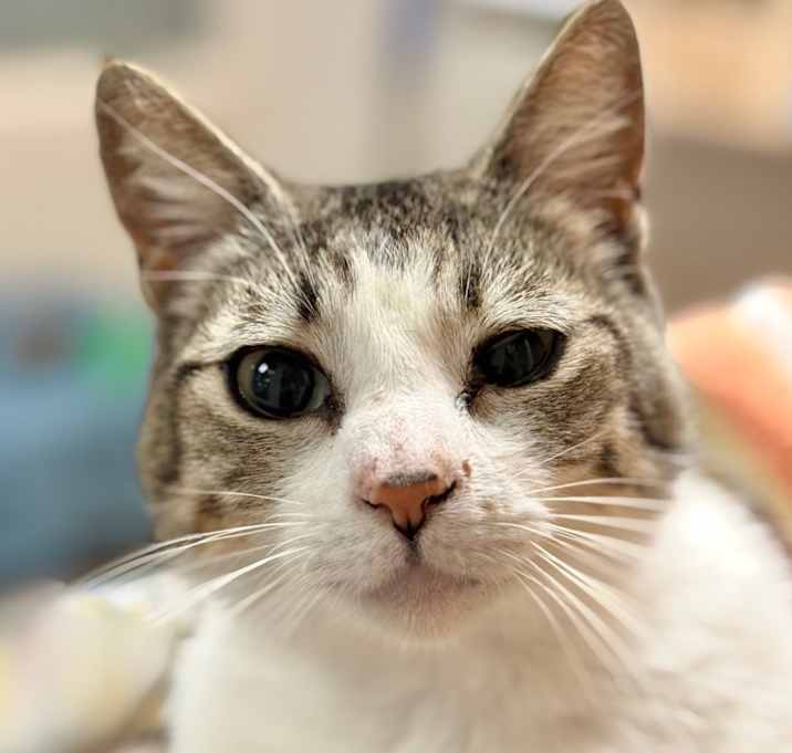 Photo of Mimi