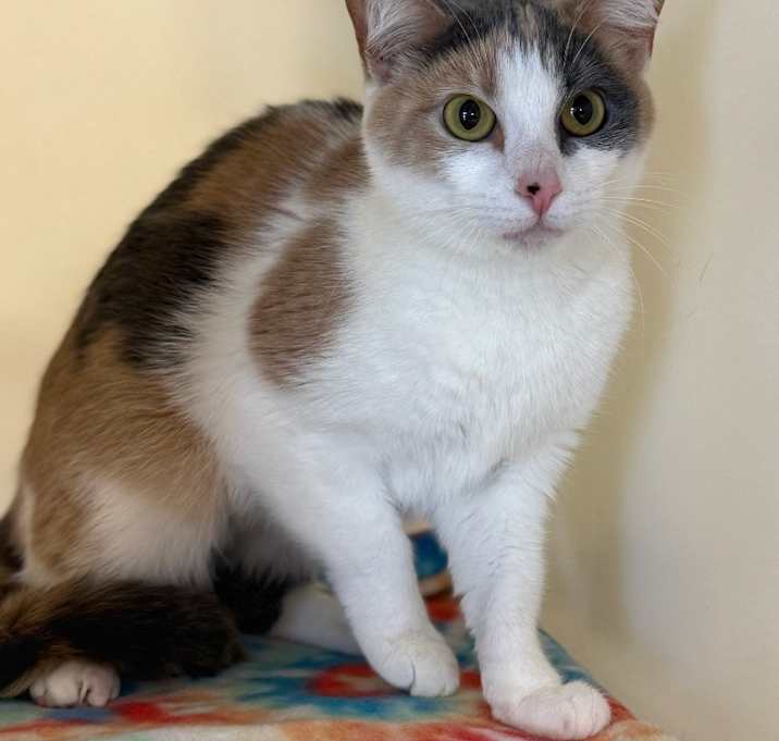 Photo of Chleo