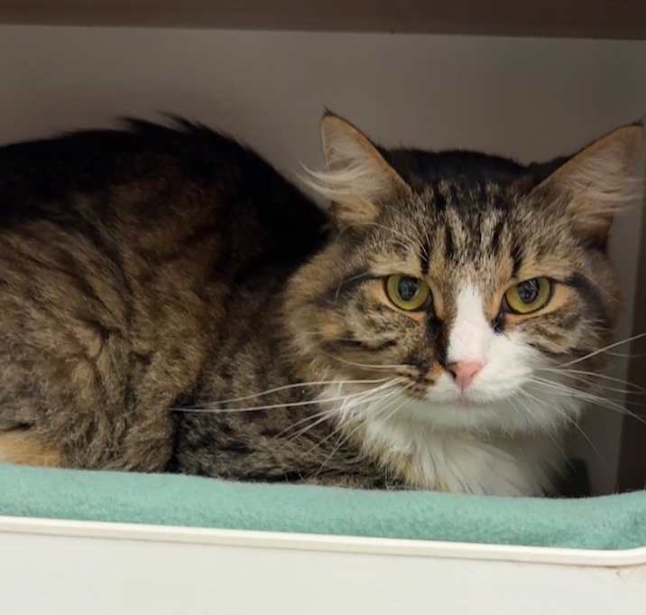 Photo of Oliver