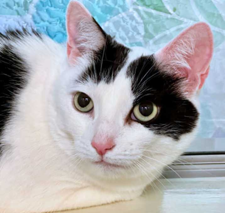 Photo of Manny
