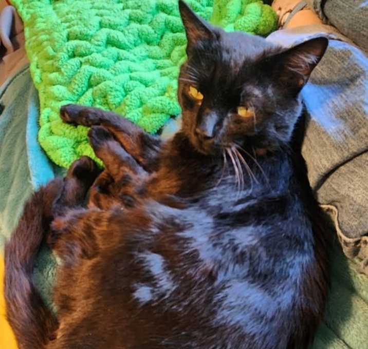 Photo of Yancey: Not at the shelter ((Pat)