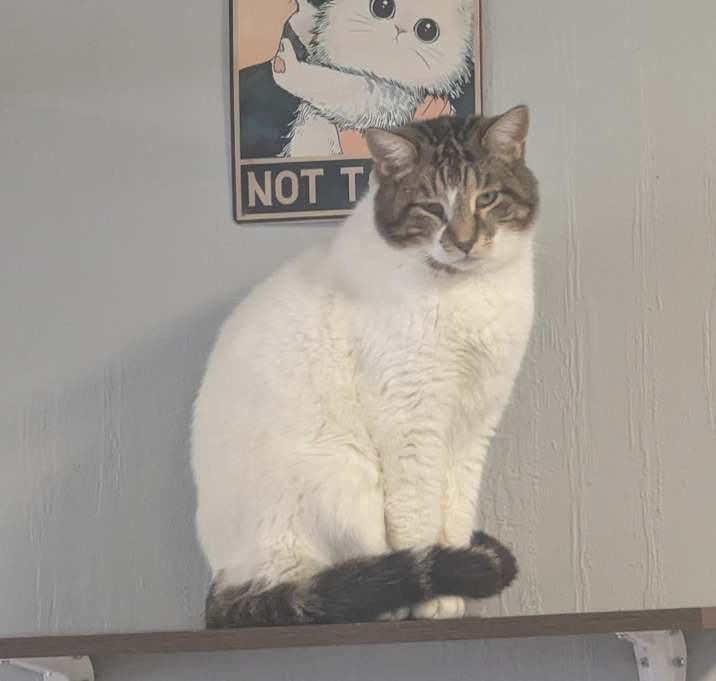 Photo of Regular Sized Rudy