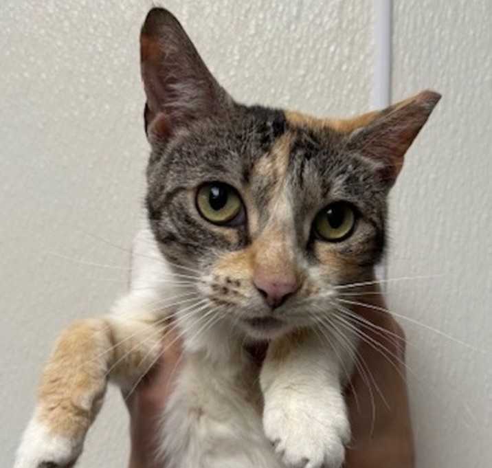 Photo of Mable