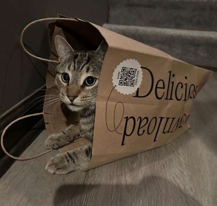 Photo of Luna