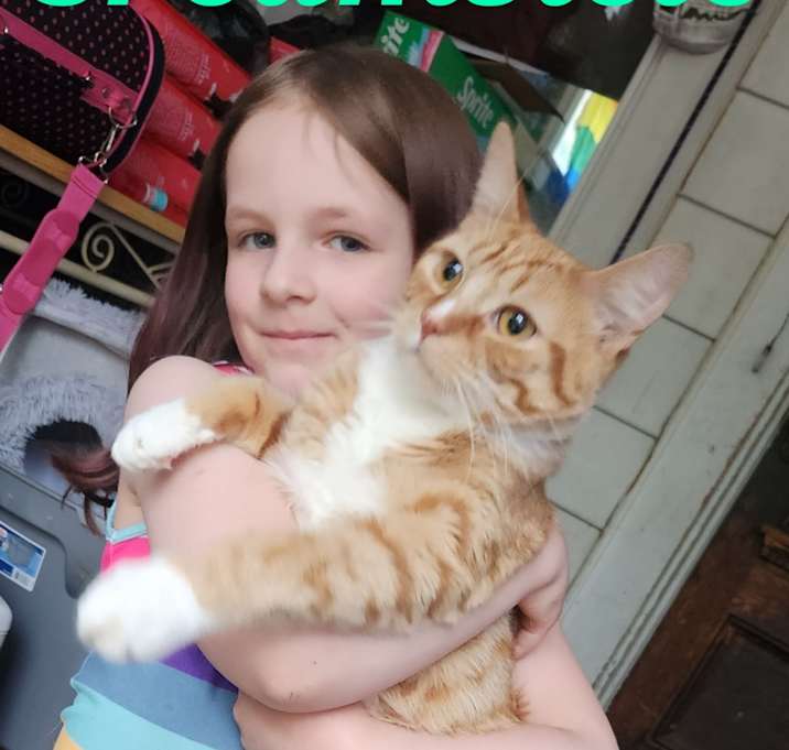 Photo of Creamsicle