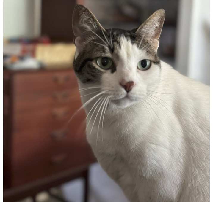 Photo of Theo