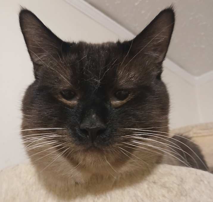 Photo of Cass