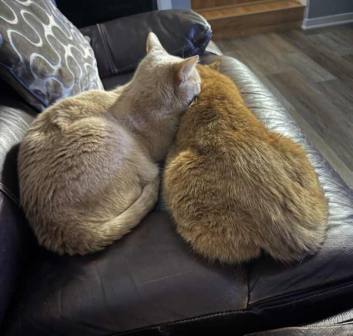 Photo of Chase & Leo