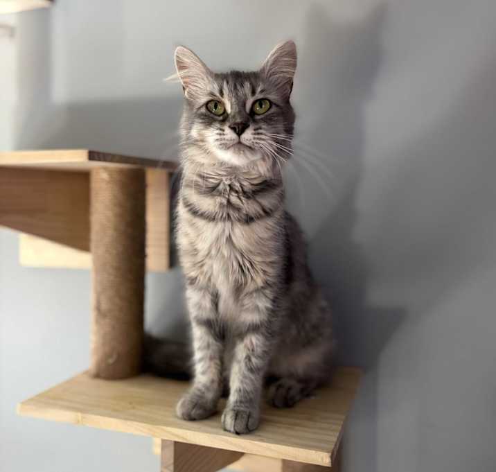 Photo of Fiona