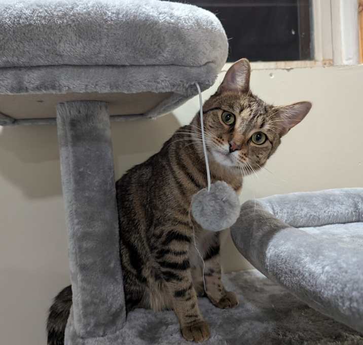Photo of Oliver