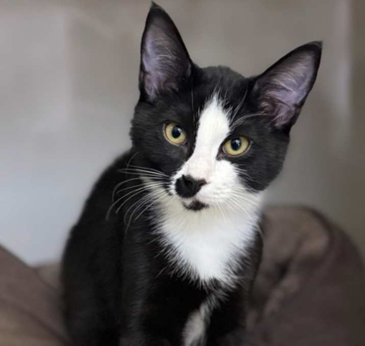 Photo of Matilda