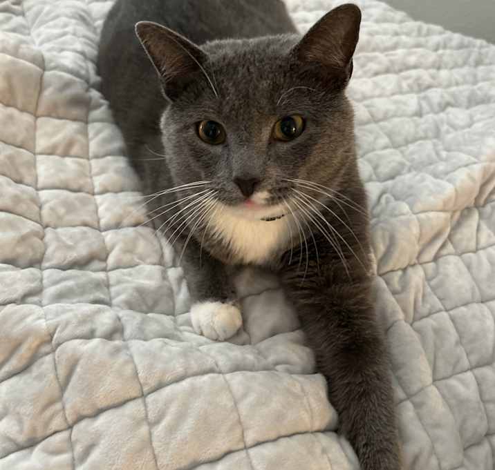 Photo of Mr. Freaky