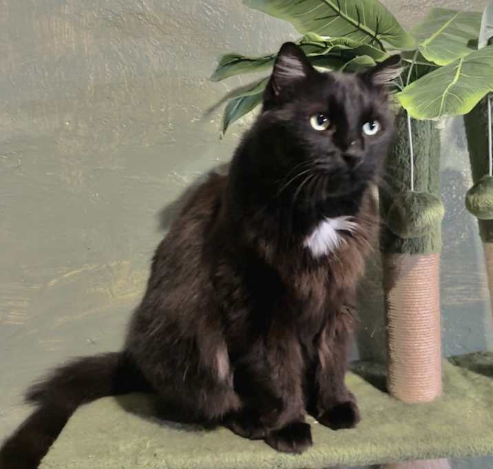 Photo of Rocki