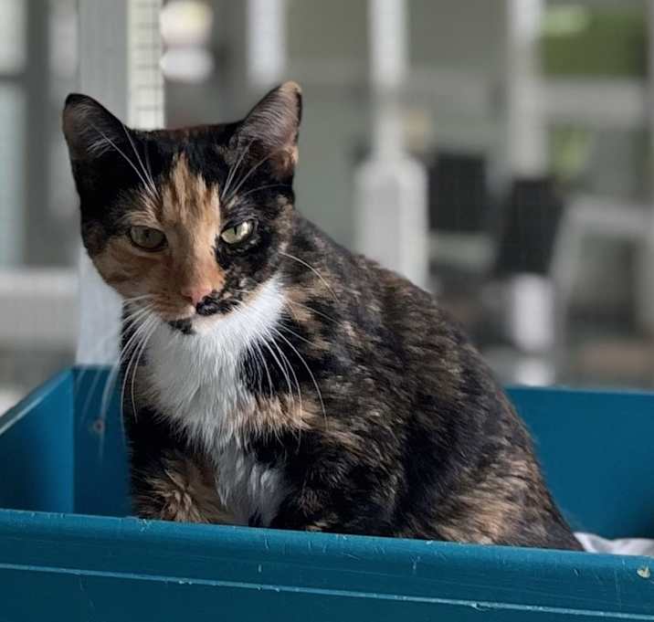 Photo of Millie