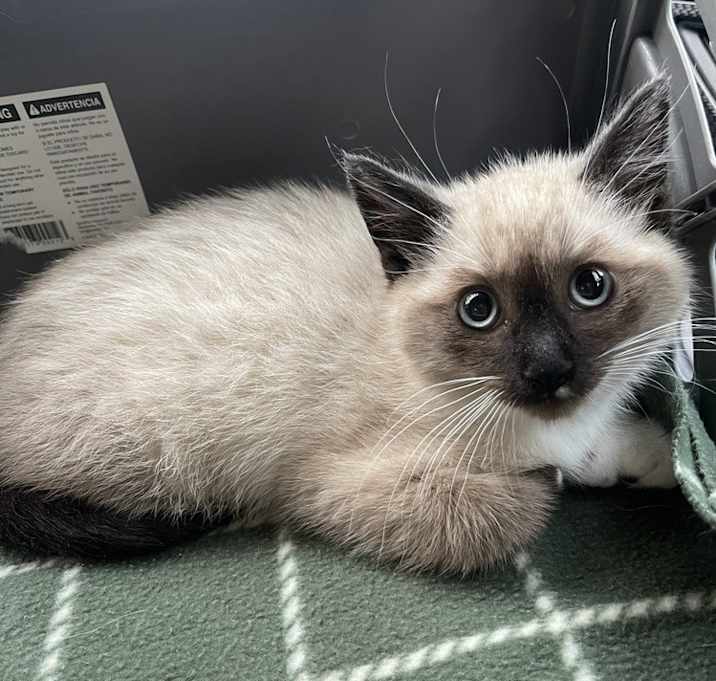 Photo of Eros