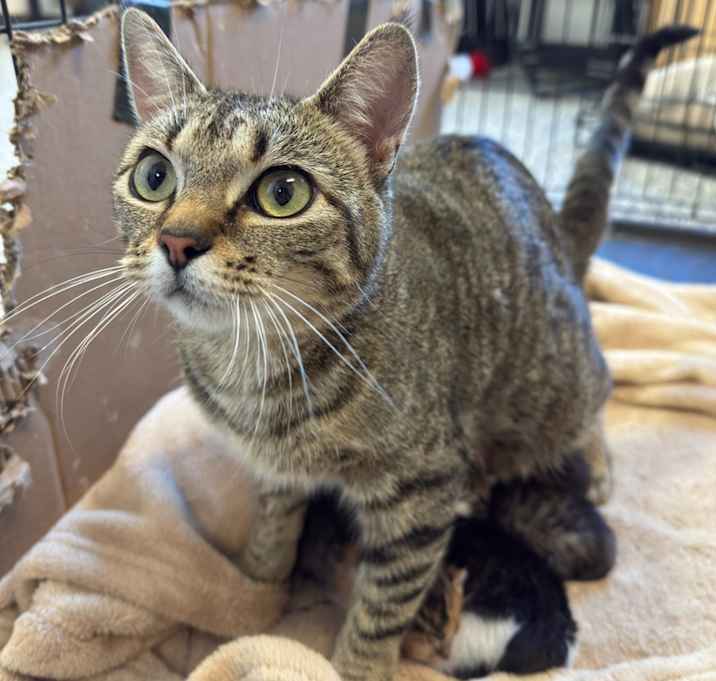 Photo of Cleo