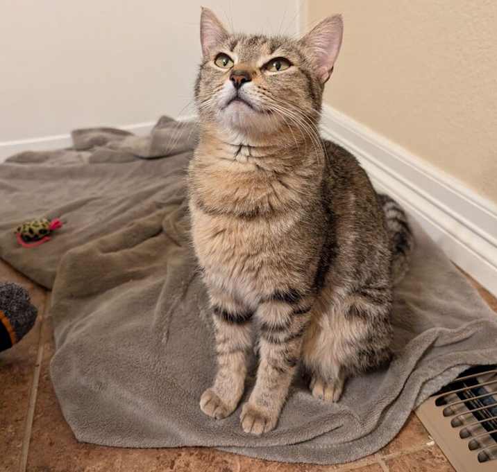 Photo of Beatrice