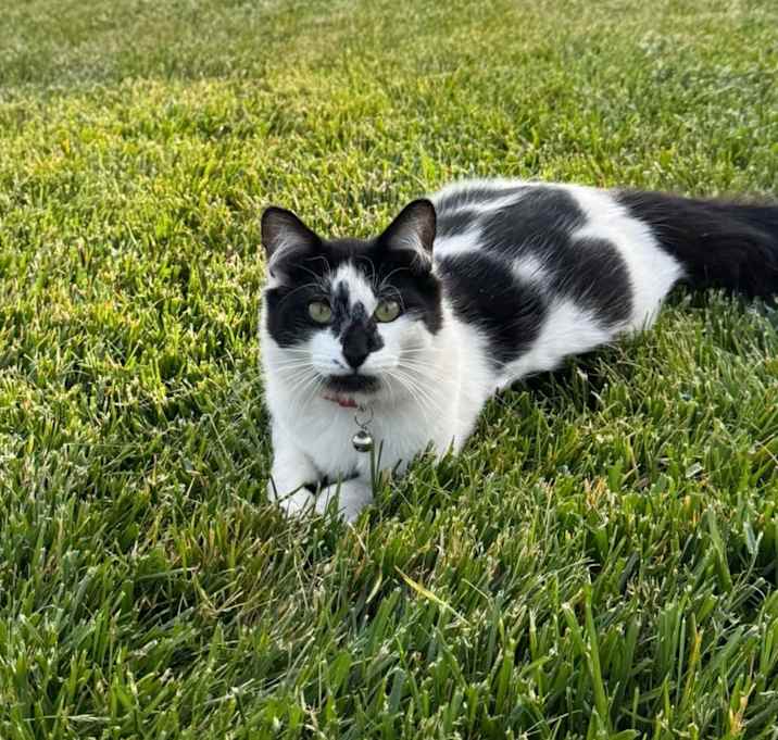 Photo of Billy