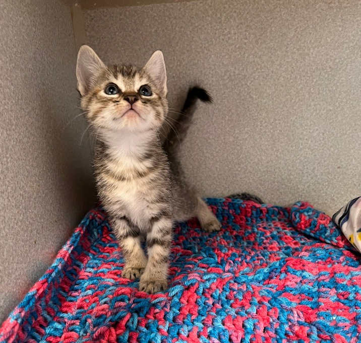 Photo of Tina (9717)