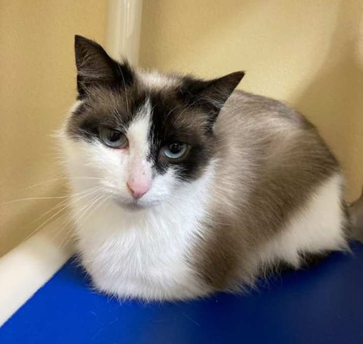 Photo of Hazel